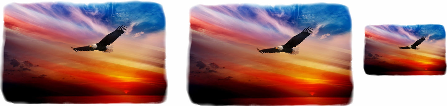 Eagle & US Flag van mural water slide decal