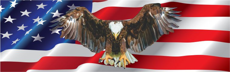 American flag and eagle window mural water slide decal