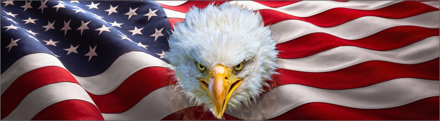 American flag & eagle head window mural water slide decal