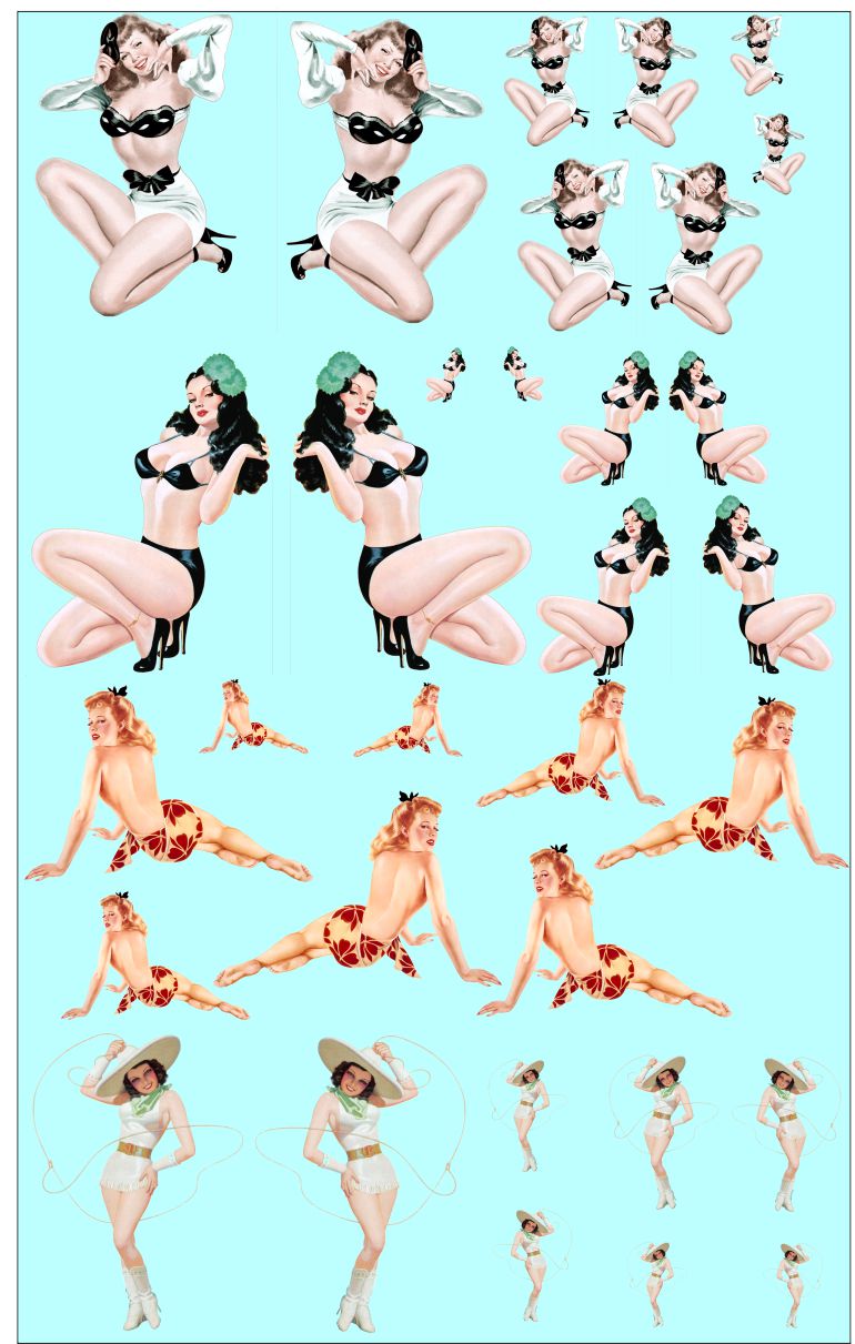 Pin Up Girls #10 Logo water slide decals