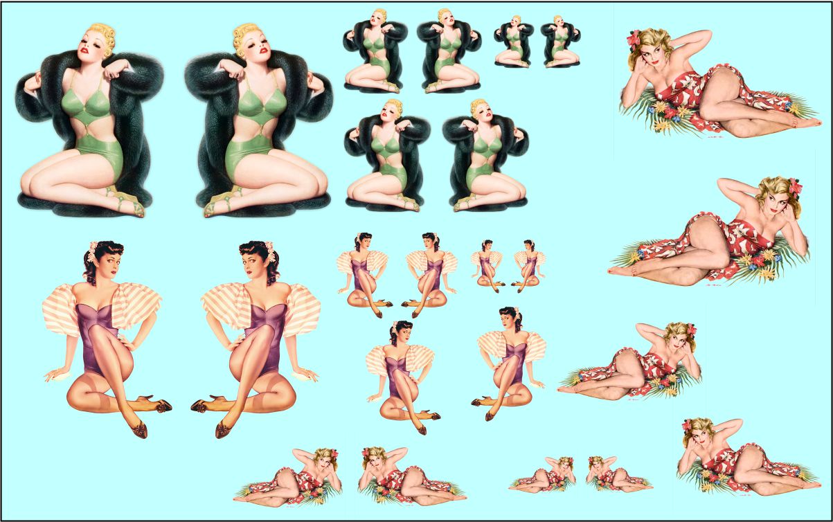 Pin Up Girls #14 Logo water slide decals