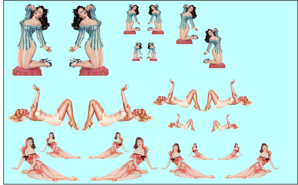 Pin Up Girls #19 Logo water slide decals