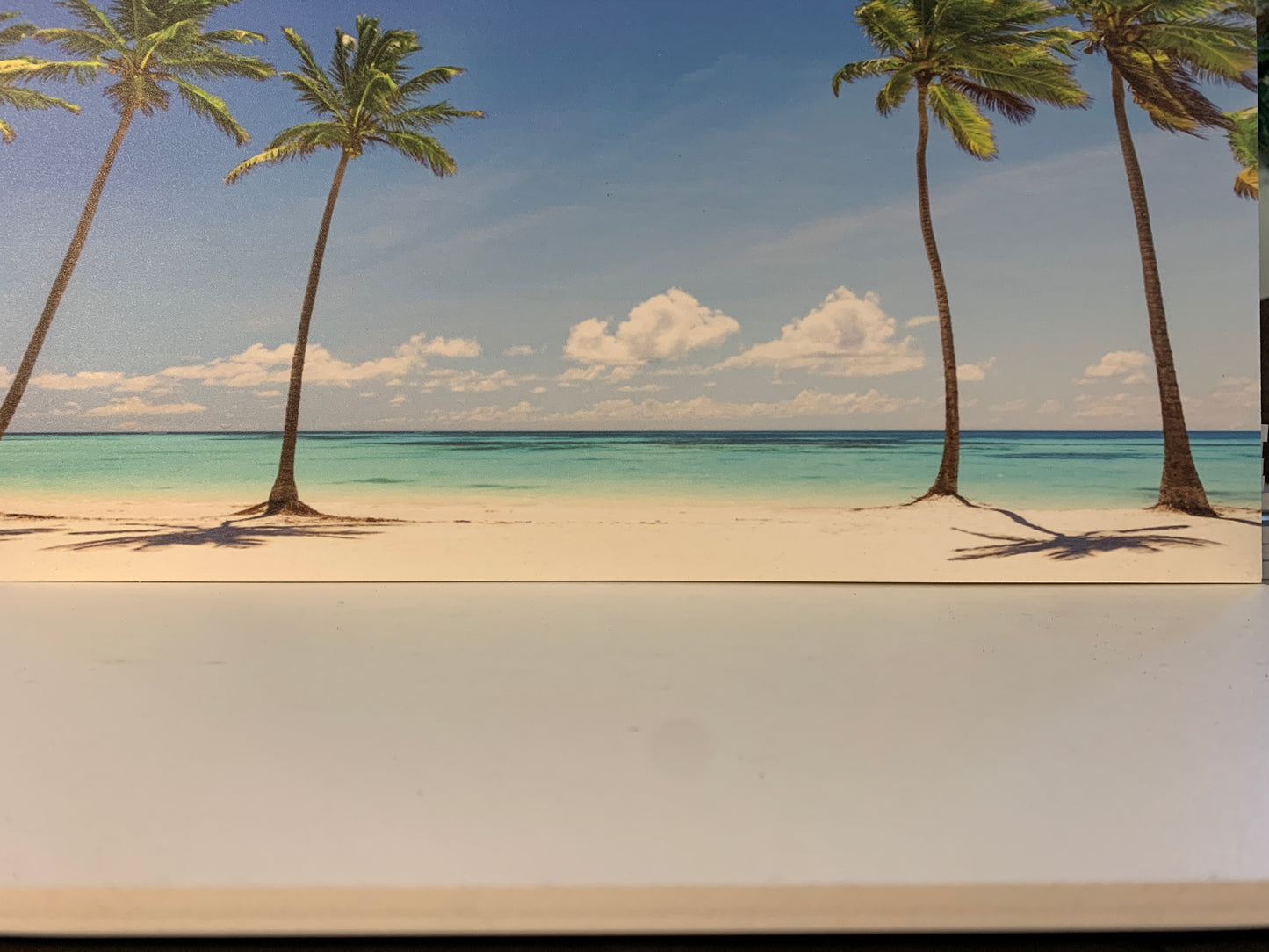 Beach Photo backdrop