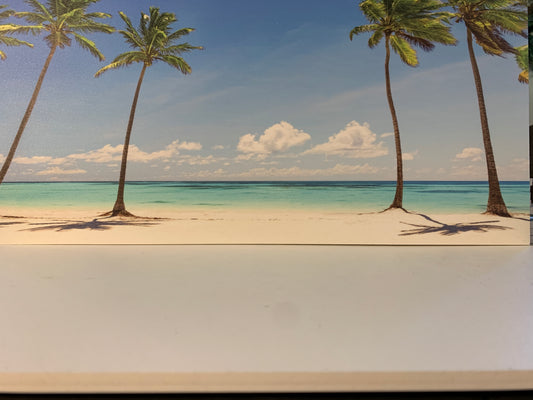 Beach Photo backdrop