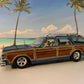 Beach Photo backdrop