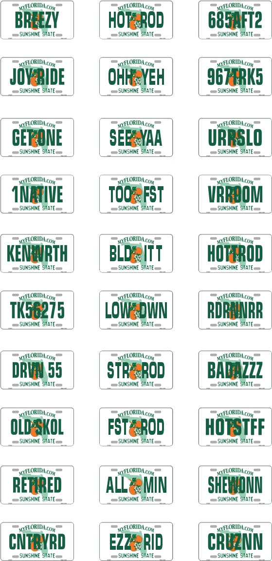 Florida License Plate Assortment for 1:24 1:25 scale models