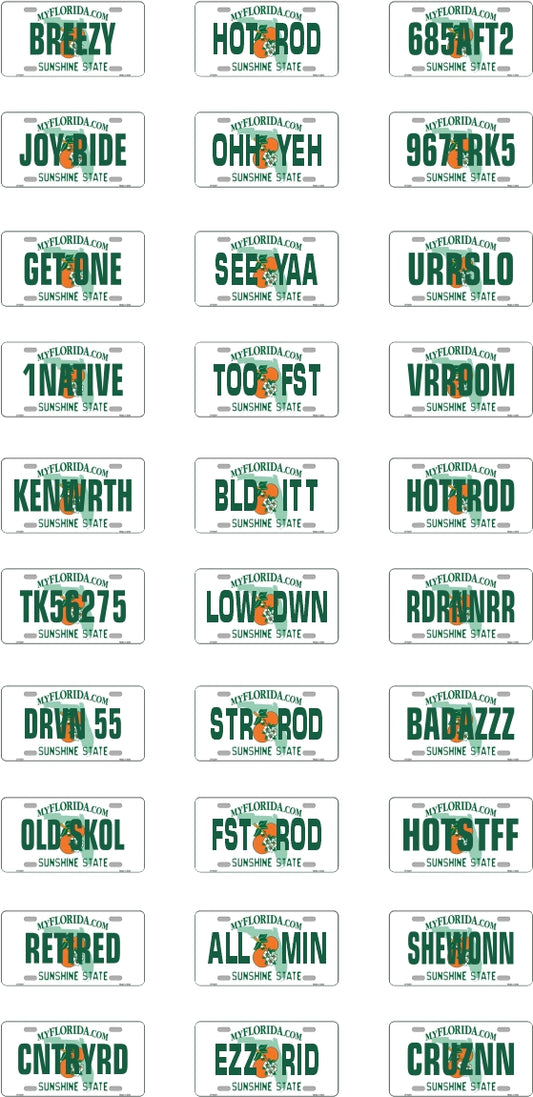 Florida License Plate Assortment for 1:24 1:25 scale models