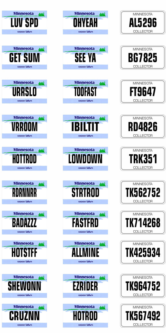 Minnesota License Plate Assortment for 1:24 1:25 scale models