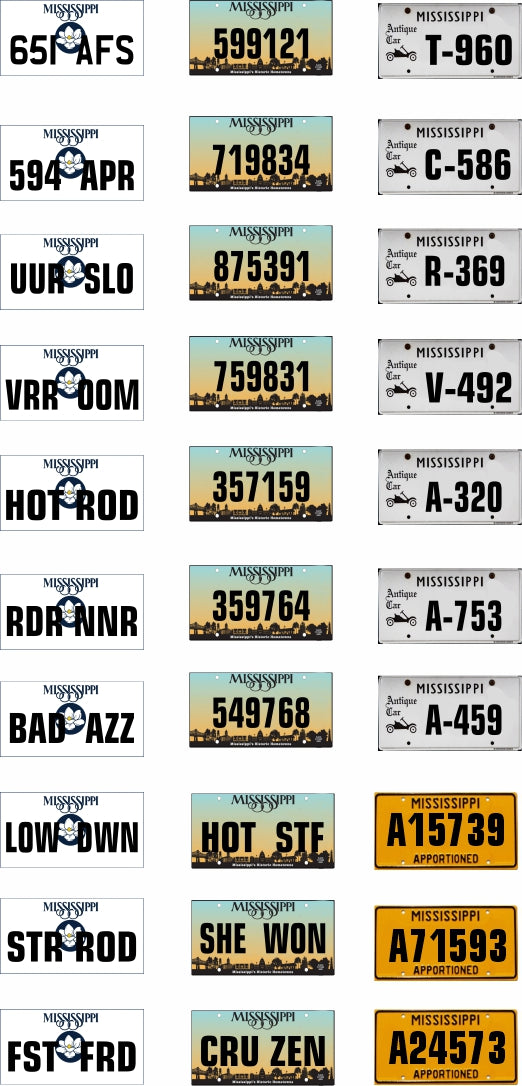 Mississippi License Plate Assortment for 1:24 1:25 scale models