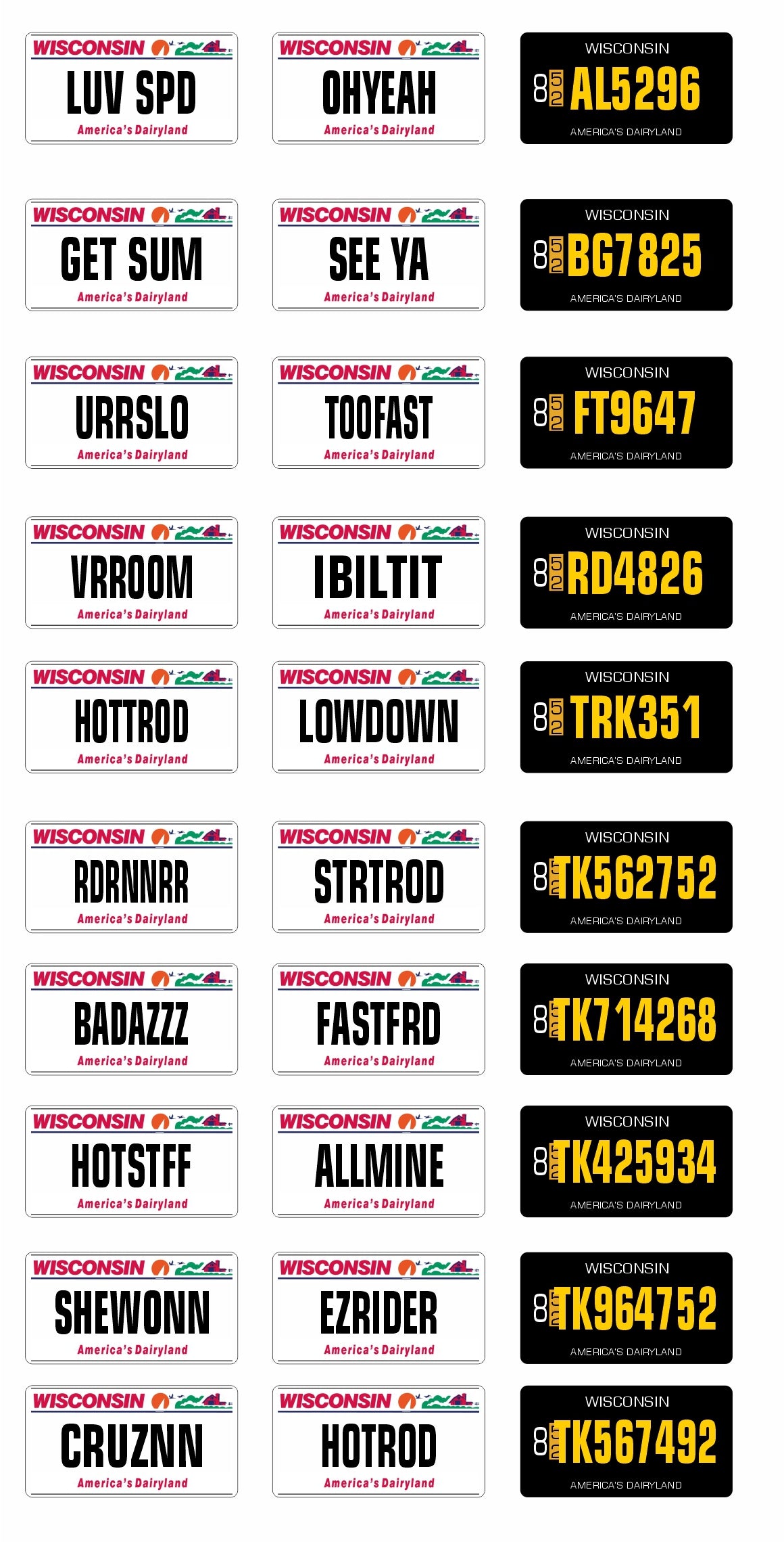 Wisconsin Custom Plate Racing Wisconsin License Plate Assortment for 1:24 1:25 scale models – STSDecals