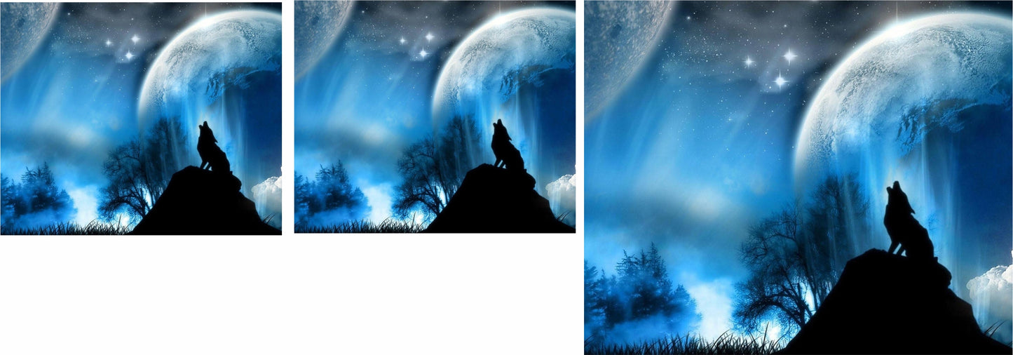 Wolf van mural water slide decal
