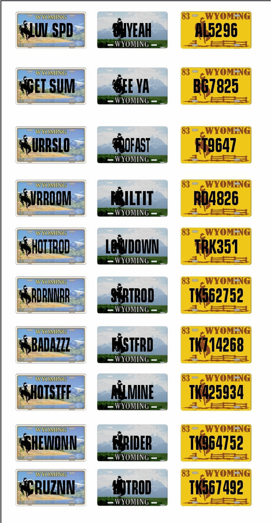 Wyoming License Plate Assortment for 1:24 1:25 scale models