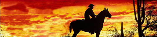Cowboy sunset window mural water slide decal